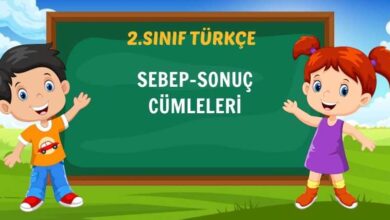 SEBEP-SONUÇ CÜMLELERİ
