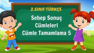 Sebep Sonuç Cümleleri Cümle Tamamlama 5