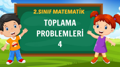 TOPLAMA PROBLEMLERİ