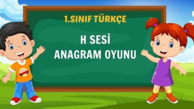 h sesi anagram
