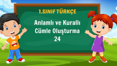 Anlamlı ve Kurallı Cümle Oluşturma 24