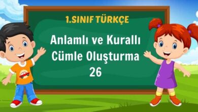 Anlamlı ve Kurallı Cümle Oluşturma 26