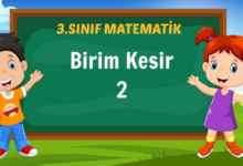 Birim Kesir 2