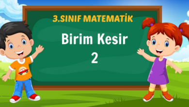 Birim Kesir 2