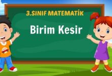 Birim Kesir