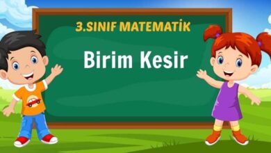 Birim Kesir