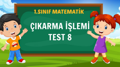 ÇIKARMA İŞLEMİ
