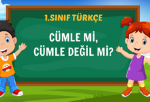 CÜMLE Mİ, CÜMLE DEĞİL Mİ