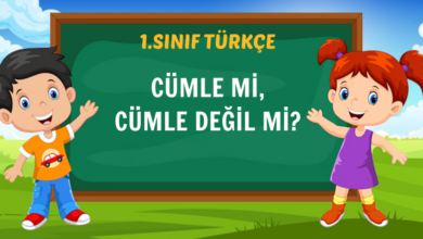 CÜMLE Mİ, CÜMLE DEĞİL Mİ