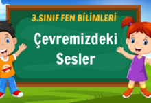 Çevremizdeki Sesler