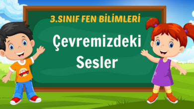 Çevremizdeki Sesler