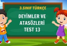 DEYİMLER VE ATASÖZLERİ TESTİ 13