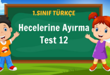 Hecelerine Ayırma Test 12