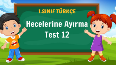 Hecelerine Ayırma Test 12