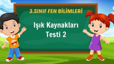 Işık Kaynakları Testi 2