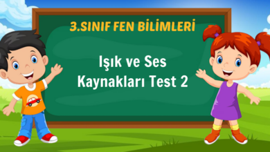 Işık ve Ses Kaynakları