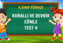 KURALLI VE DEVRİK CÜMLE TEST 4