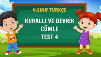 KURALLI VE DEVRİK CÜMLE TEST 4