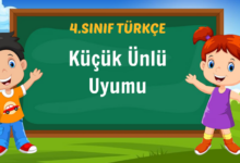 Küçük Ünlü Uyumu