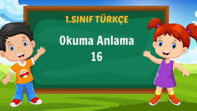 Okuma Anlama 16