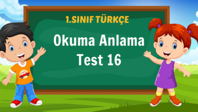 Okuma Anlama
