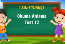 Okuma Anlama Test 12