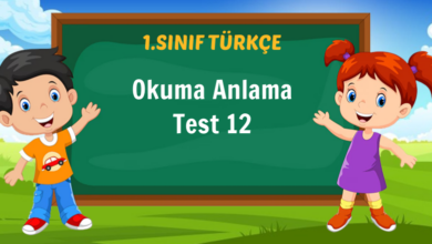 Okuma Anlama Test 12