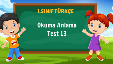 Okuma Anlama Test 13