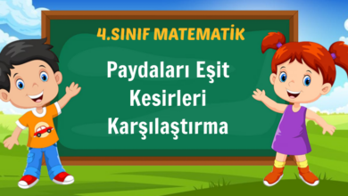 Paydaları Eşit Kesirleri Karşılaştırma