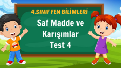 Saf Madde ve Karışımlar