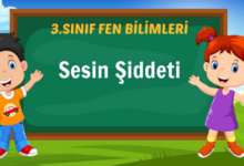 Sesin Şiddeti