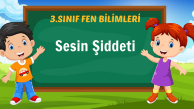 Sesin Şiddeti