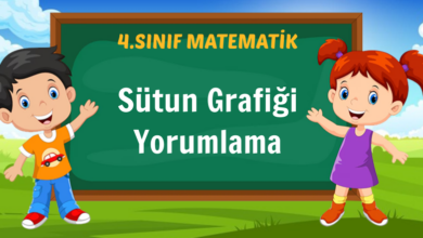 Sütun Grafiği Yorumlama