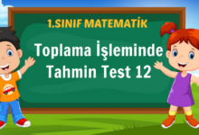 Toplama İşleminde Tahmin Test 12