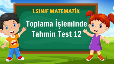 Toplama İşleminde Tahmin Test 12
