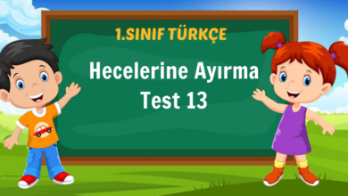 hece 14