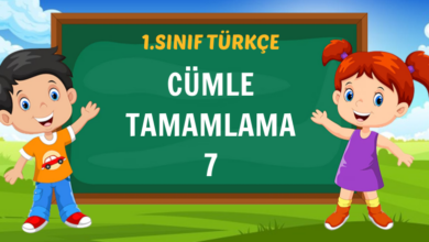 1. SINIF CÜMLE TAMAMLAMA 7