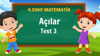 Açılar Test 3