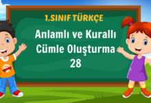 Anlamlı ve Kurallı Cümle Oluşturma 28