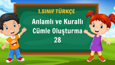 Anlamlı ve Kurallı Cümle Oluşturma 28
