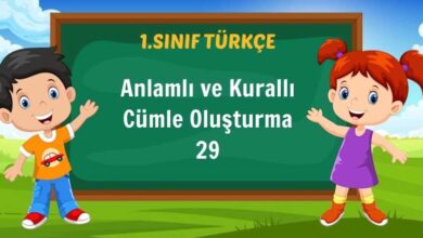 Anlamlı ve Kurallı Cümle Oluşturma 29