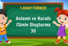 Anlamlı ve Kurallı Cümle Oluşturma 30