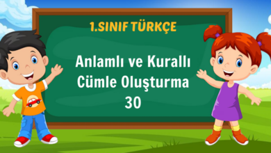 Anlamlı ve Kurallı Cümle Oluşturma 30