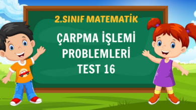 ÇARPMA İŞLEMİ PROBLEMLERİ TEST 16