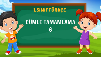 CÜMLE TAMAMLAMA 6