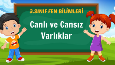 Canlı ve Cansız Varlıklar
