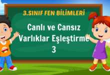 Canlı ve Cansız Varlıklar Eşleştirme 3