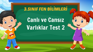 Canlı ve Cansız Varlıklar Test 2