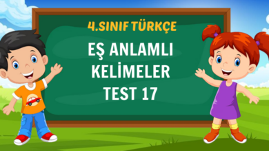 EŞ ANLAMLI KELİMELER TEST 17