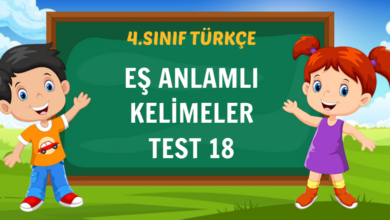 EŞ ANLAMLI KELİMELER TEST 18